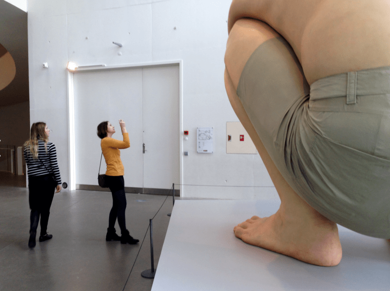 screen-shot-2020-09-06-at-8.26.28-am